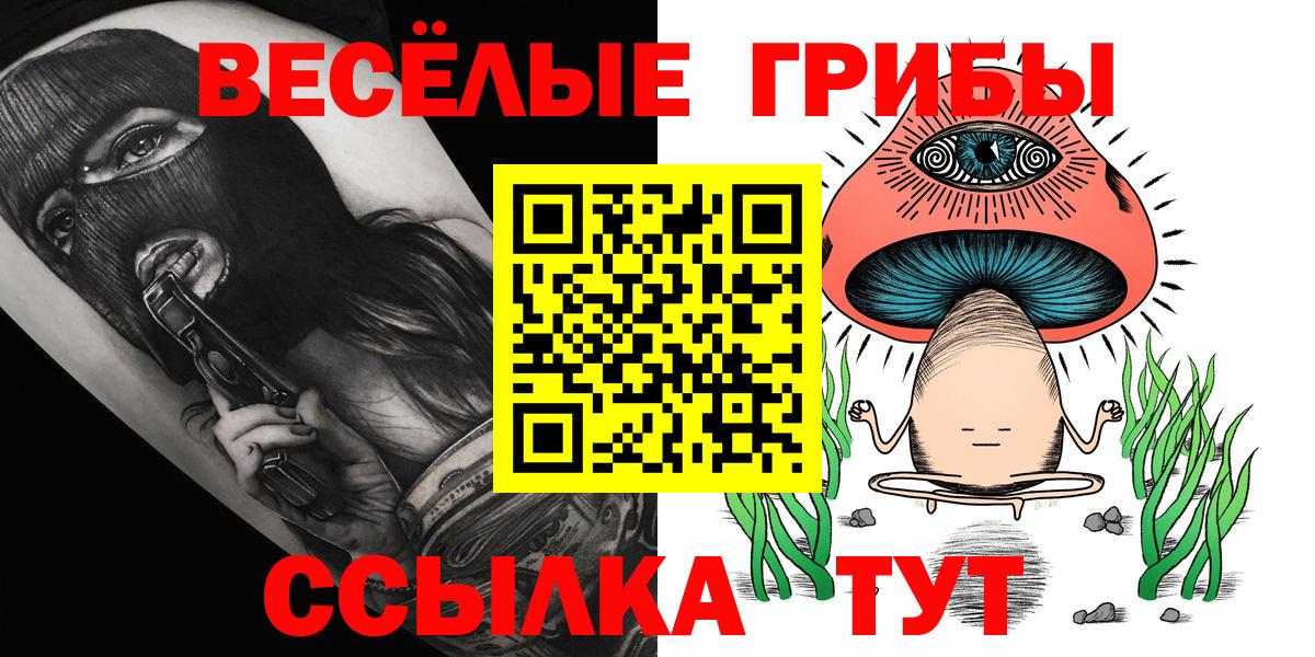 Шелехов  Галлюциногенные грибы Psilocybine cubensis  купить закладку  Вход с VPN 