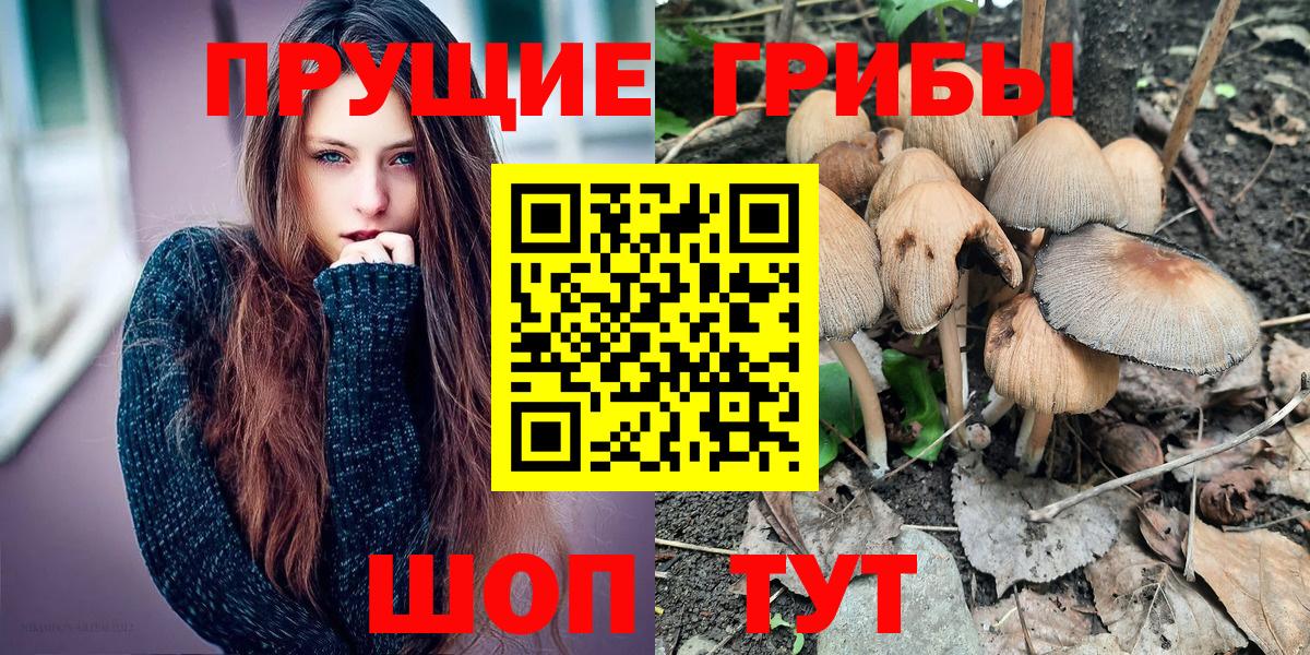 Галлюциногенные грибы мицелий Шелехов