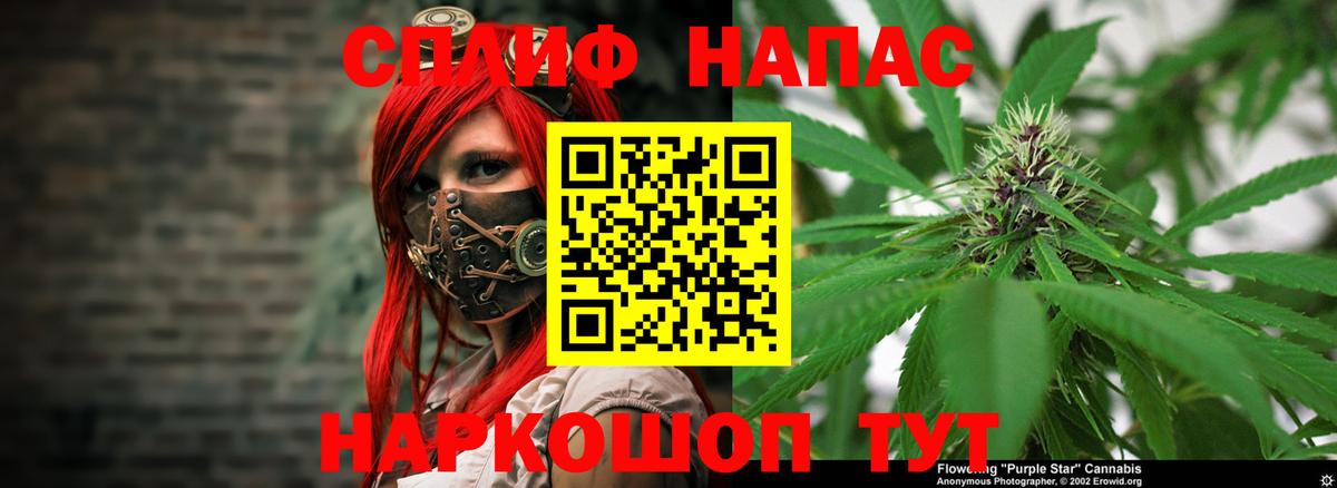 Бошки марихуана план Шелехов